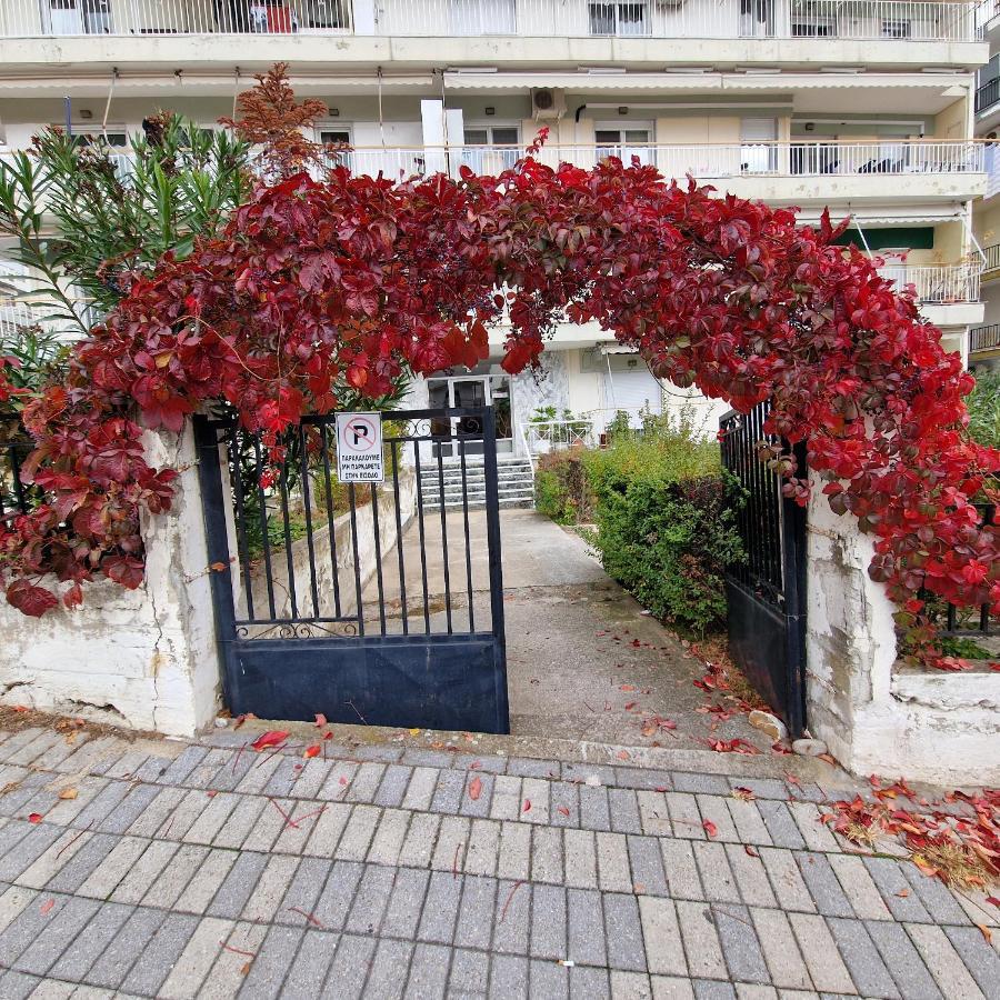 Best Minimal Studio In Xanthi - Myhomee エクステリア 写真